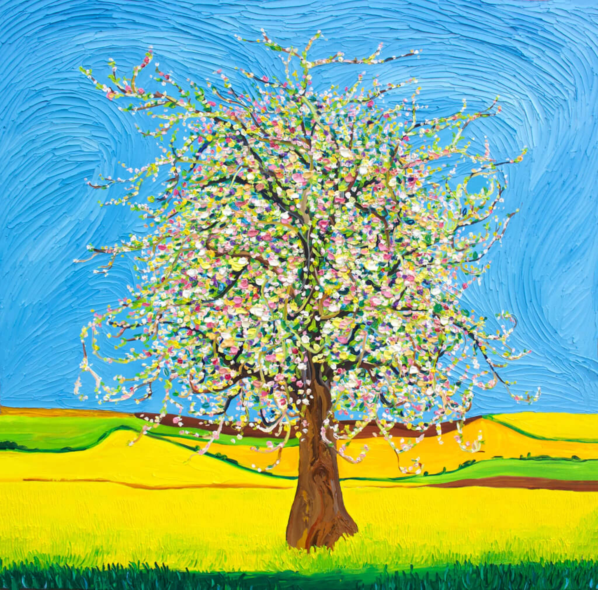 Apple Blossom Original Tree Art Oil Painting Commission