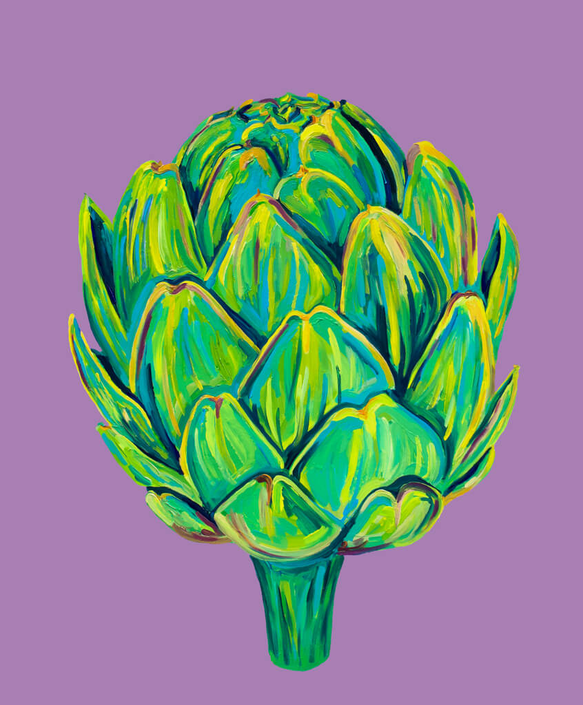 Globe Artichoke on Purple Vegetable
