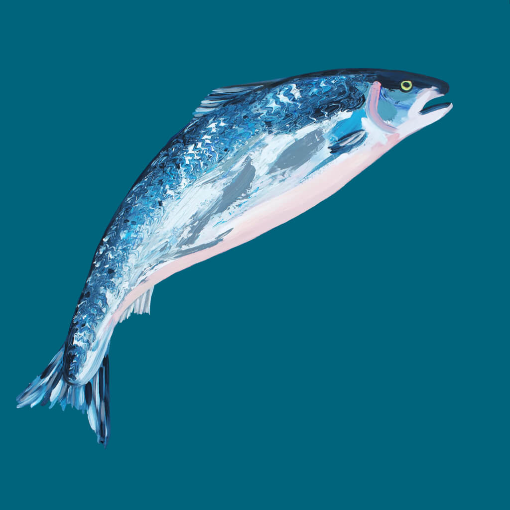 Leaping Salmon Original