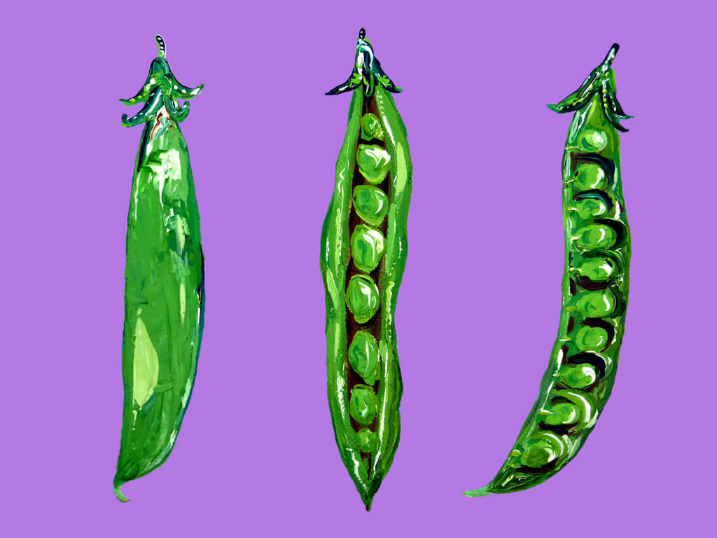 Peas in a Pod Original