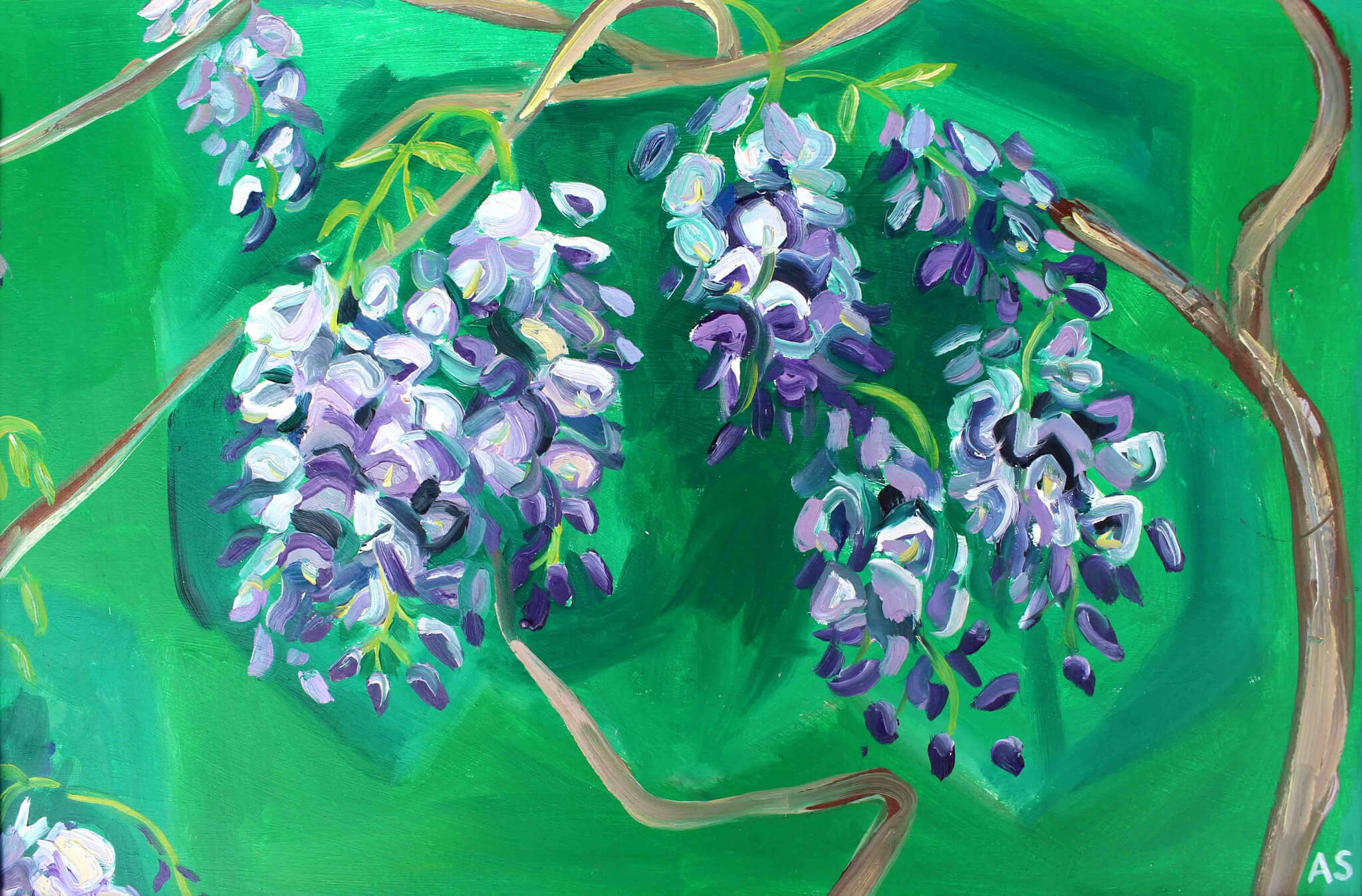 Studio Wisteria on Green