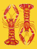 Langoustines on Yellow Art Print