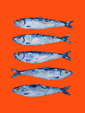 Sardines on Orange Art Print